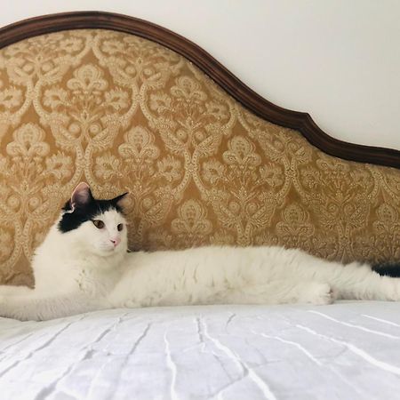 B&B Haus Senter Trambileno Luaran gambar